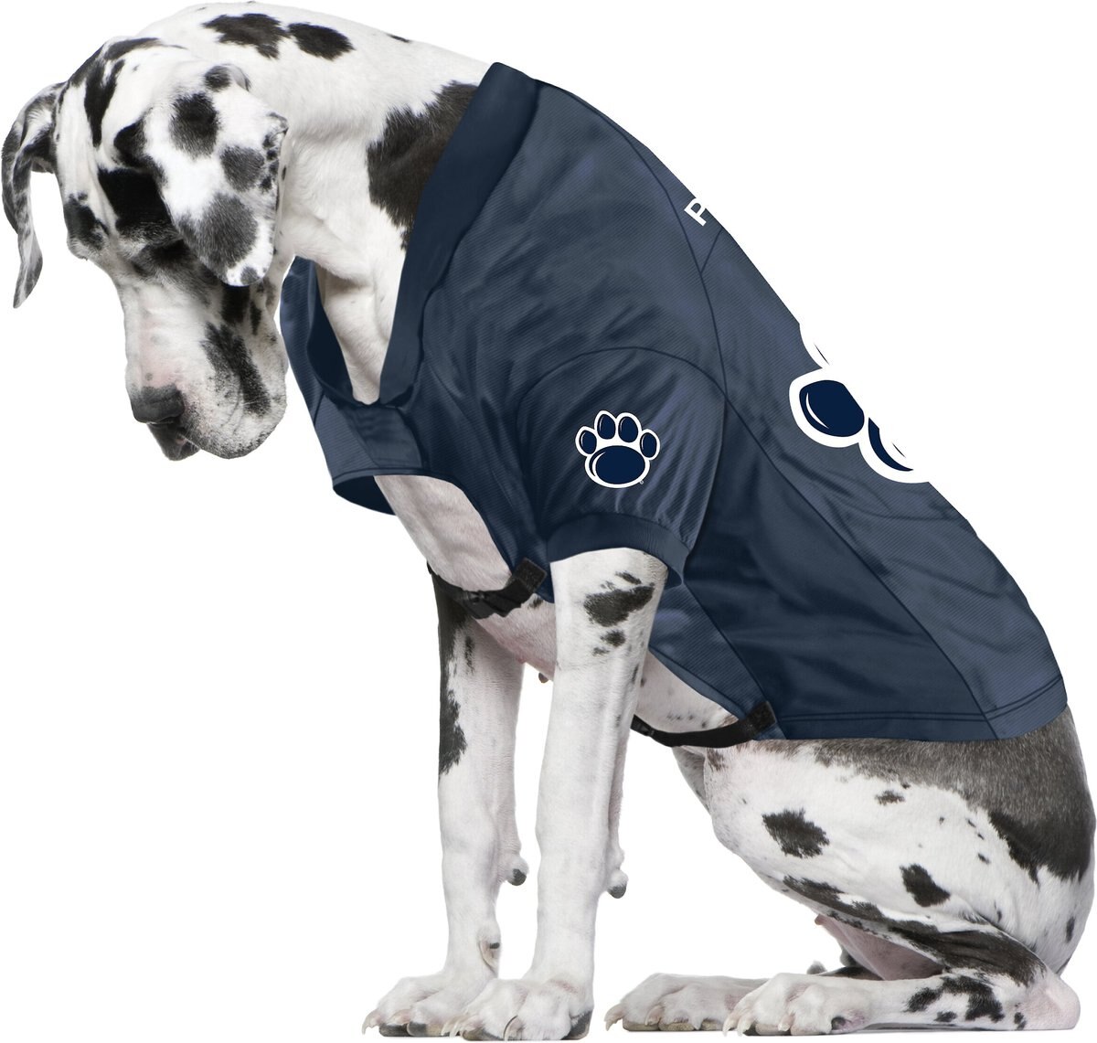 Littlearth NCAA Stretch Dog and Cat Jersey