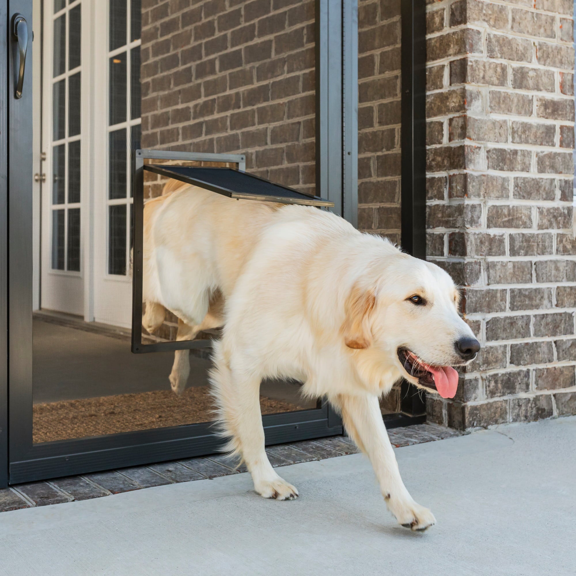 PetSafe Dog and Cat Screen Door， Large