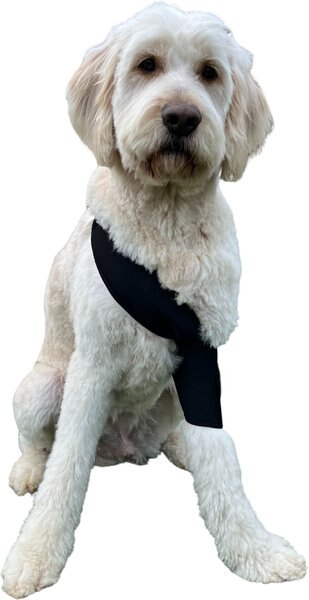 Labra Canine Shoulder Elbow Brace Left Leg Dog Wrap