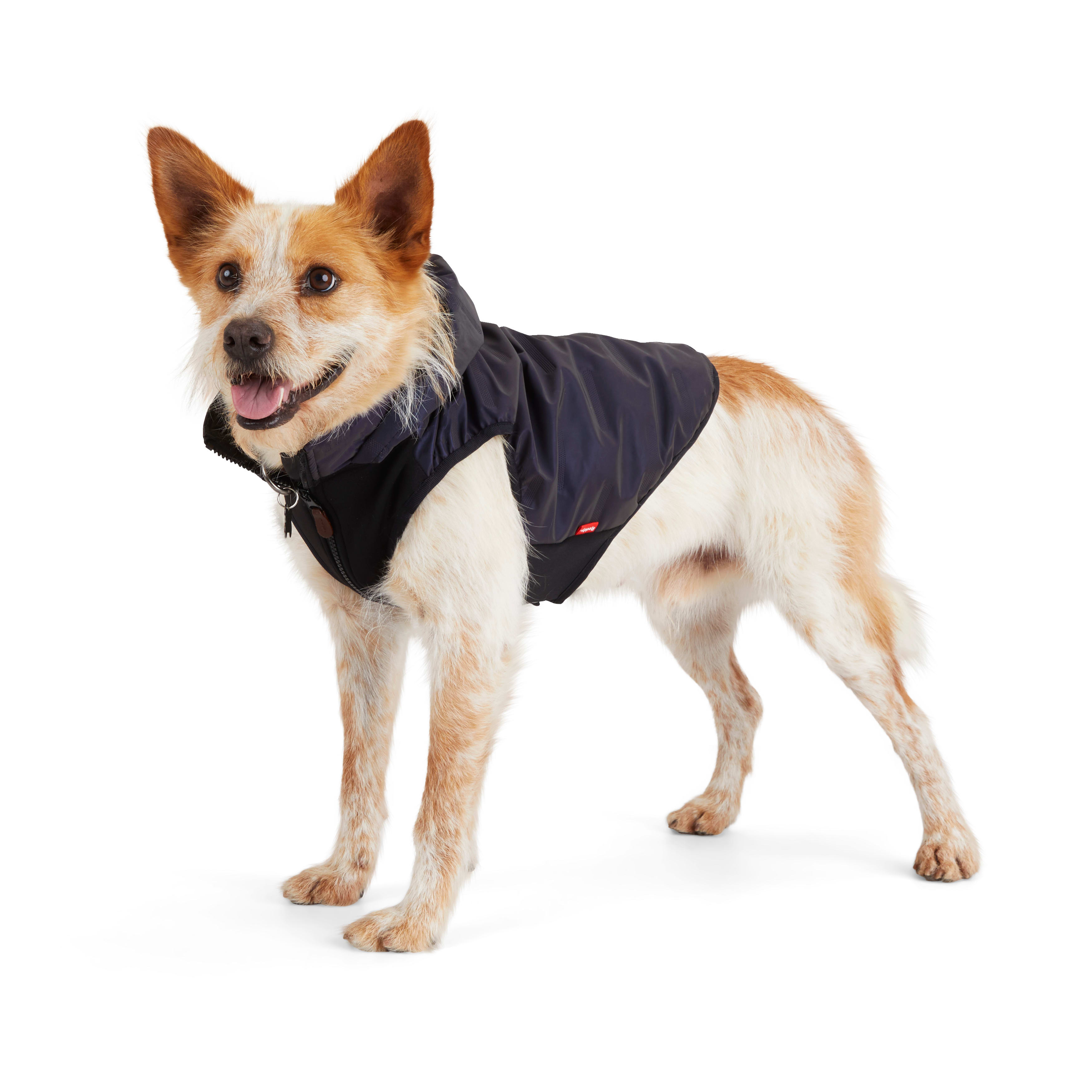 REDDY Ombre Reflective Dog Puffer， X-Small