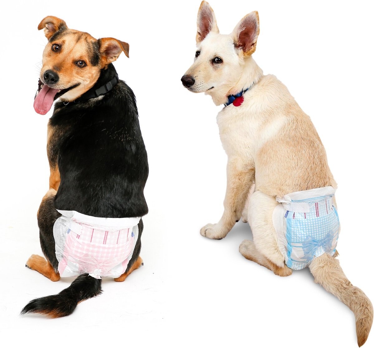 Hartz Disposable Male and Female Dog Diapers