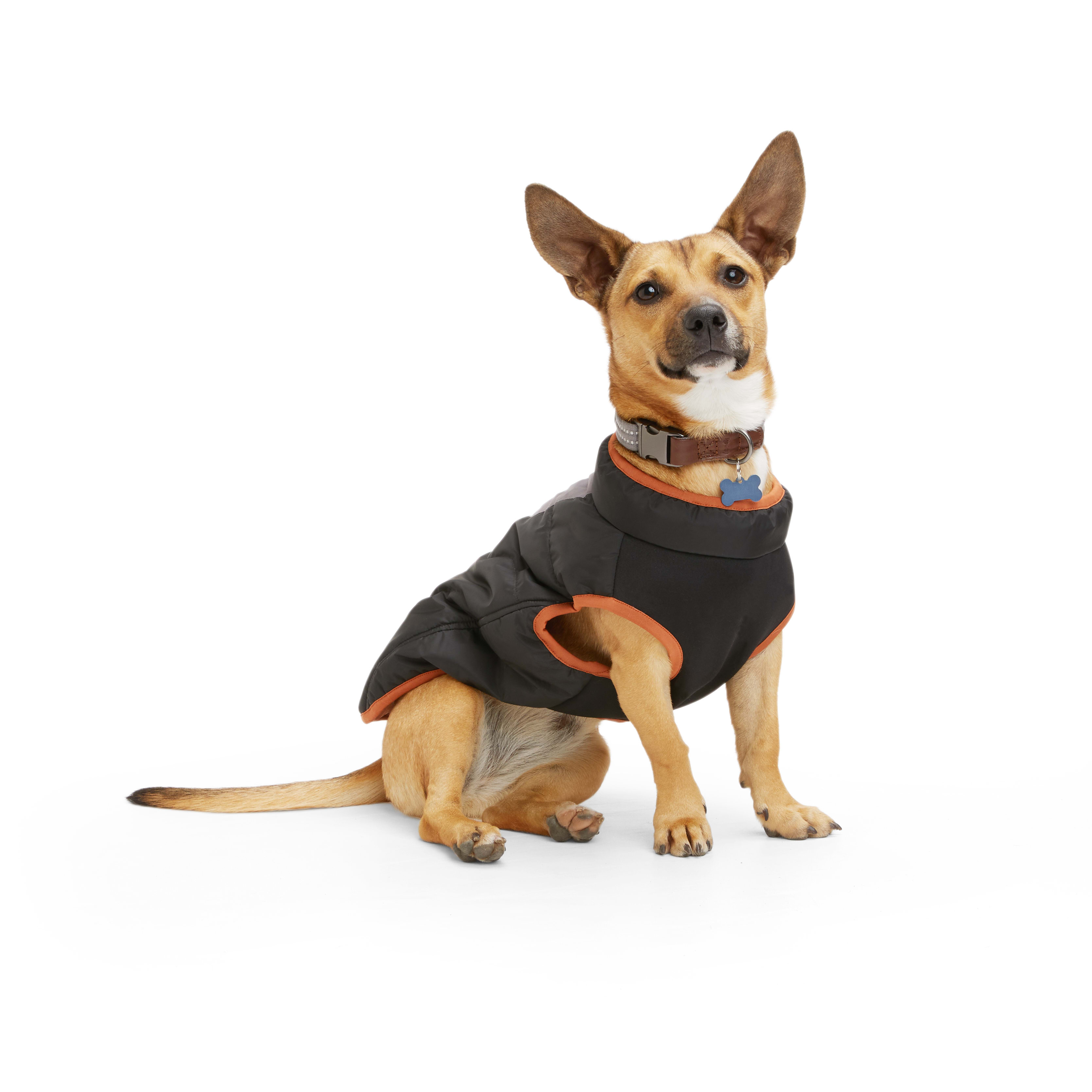 Reddy Black Primaloft Dog Jacket， X-Small