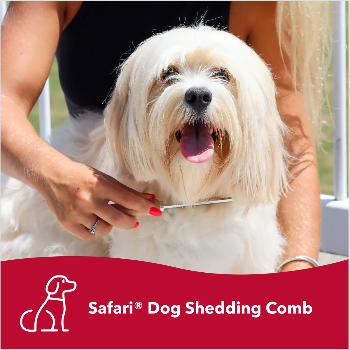 Safari Shedding Comb for Long-haired Dogs