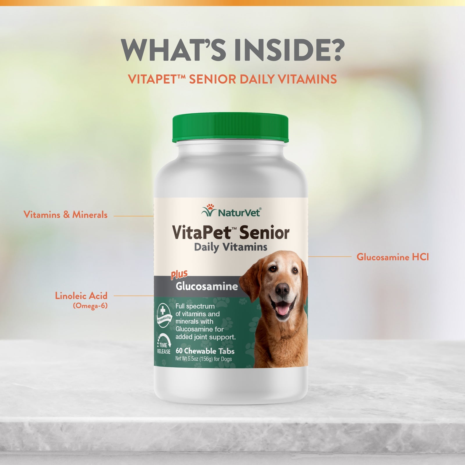 NaturVet VitaPet Senior Daily Vitamins Plus Glucosamine for Dogs， 60 c