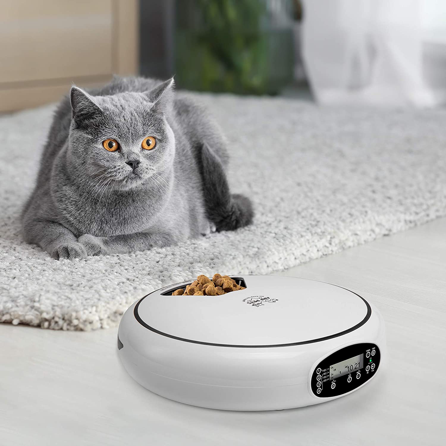 Arf Pets Automatic Pet Feeder， 5 Meal Food Dispenser for Dogs， Cats and Small Animals w/Programmable Digital Timer， Portion Control， Dishwasher-Safe Tray Feeds Wet or Dry Food - (Serves 4 Meals Per Day)