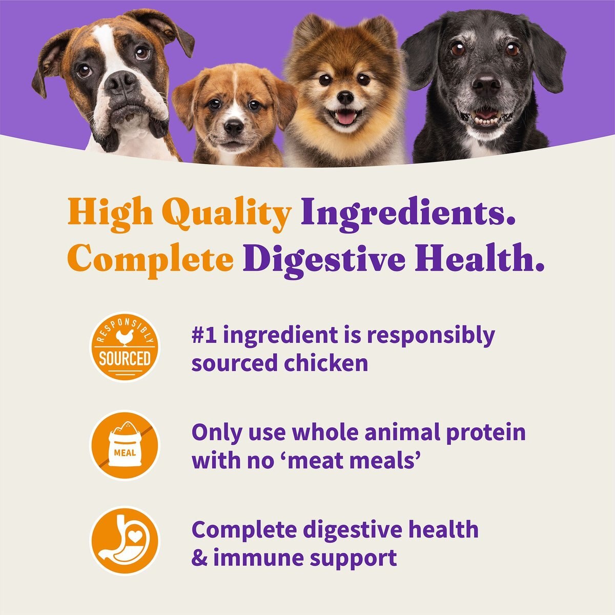 Halo Holistic Complete Digestive Health Grain-Free Chicken and Sweet Potato Dog Food Recipe Adult Dry Dog Food