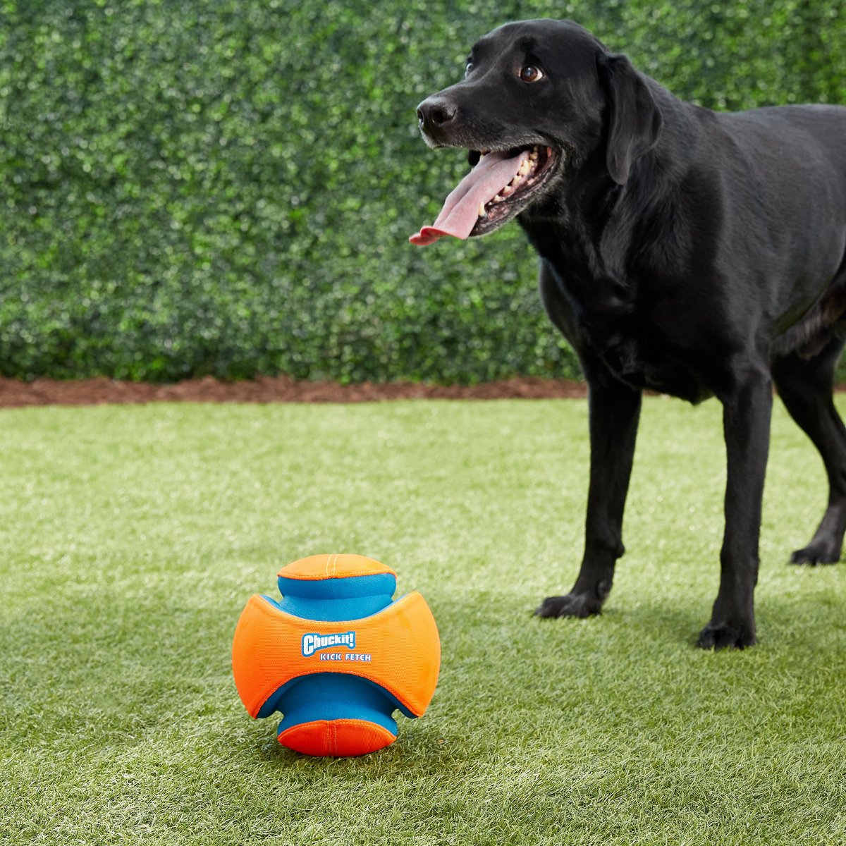 Chuckit! Kick Fetch Ball Dog Toy