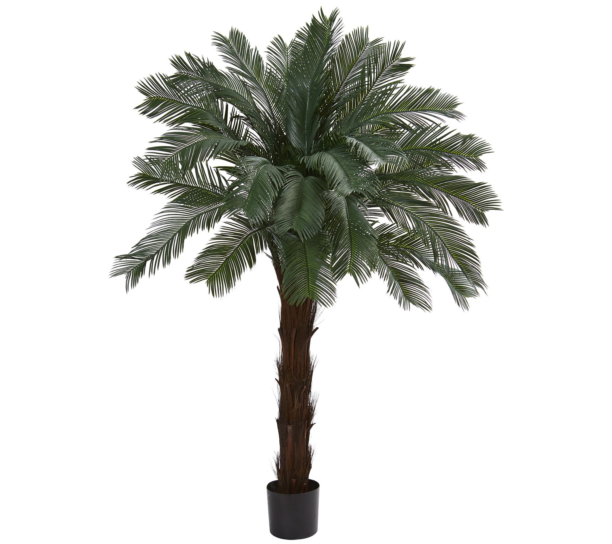 6' Cycas Artificial Tree by Nearly Natural