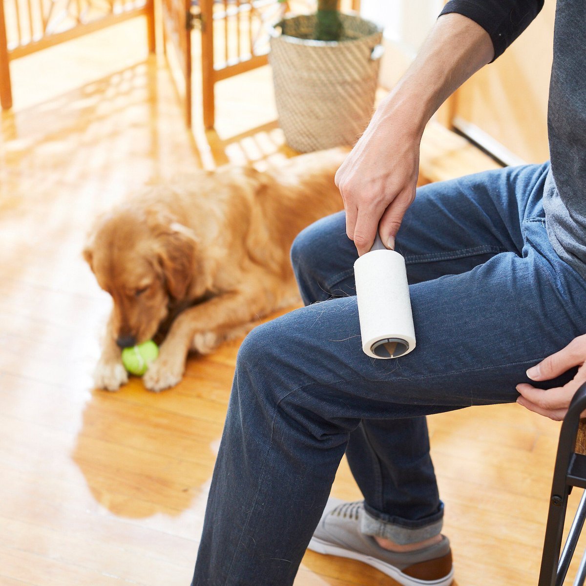 Frisco Cat and Dog Hair Lint Roller