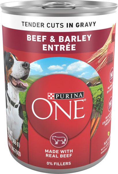 Purina ONE SmartBlend Tender Cuts in Gravy Beef and Barley Entree Adult Canned Dog Food