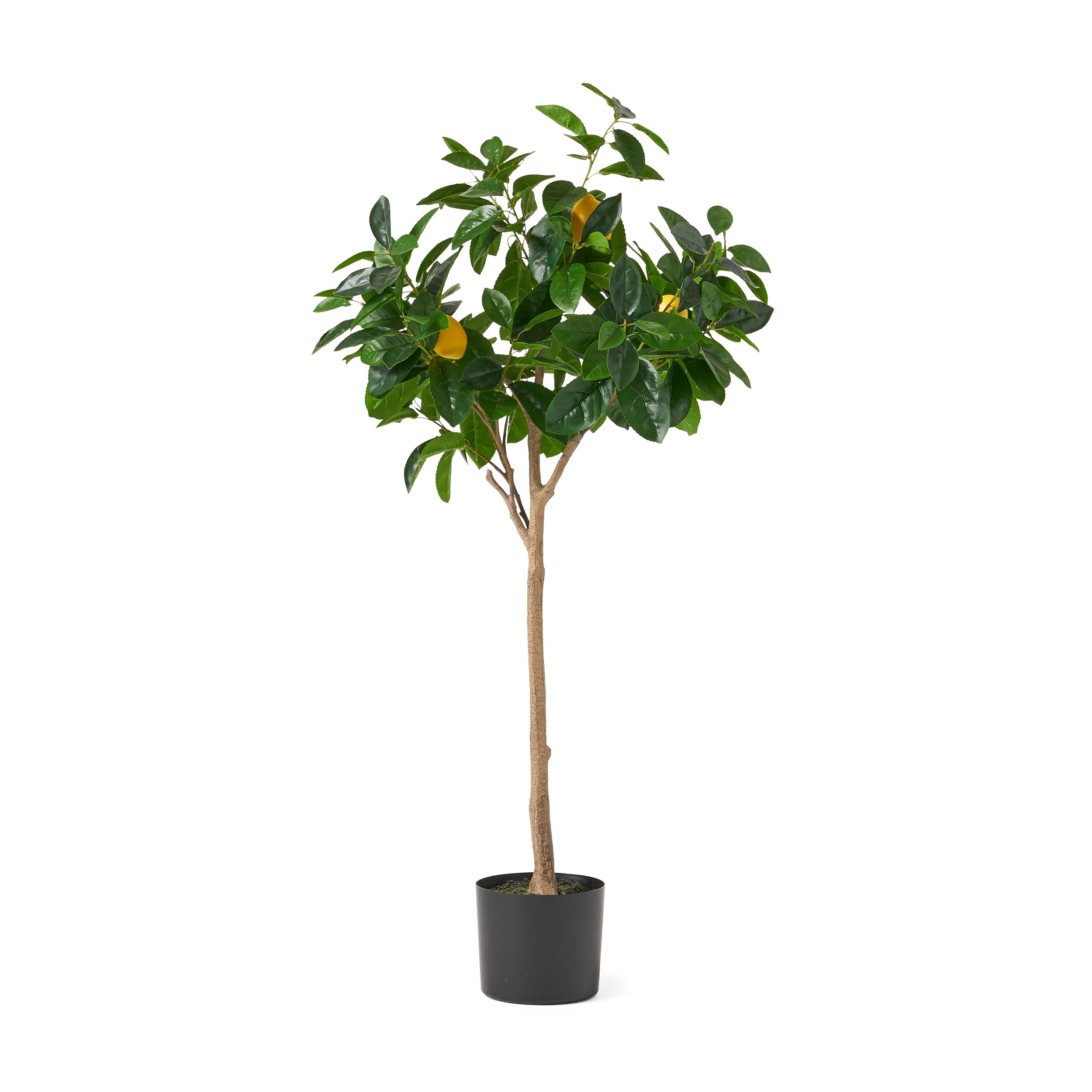 Rattler Artificial Lemon Tree