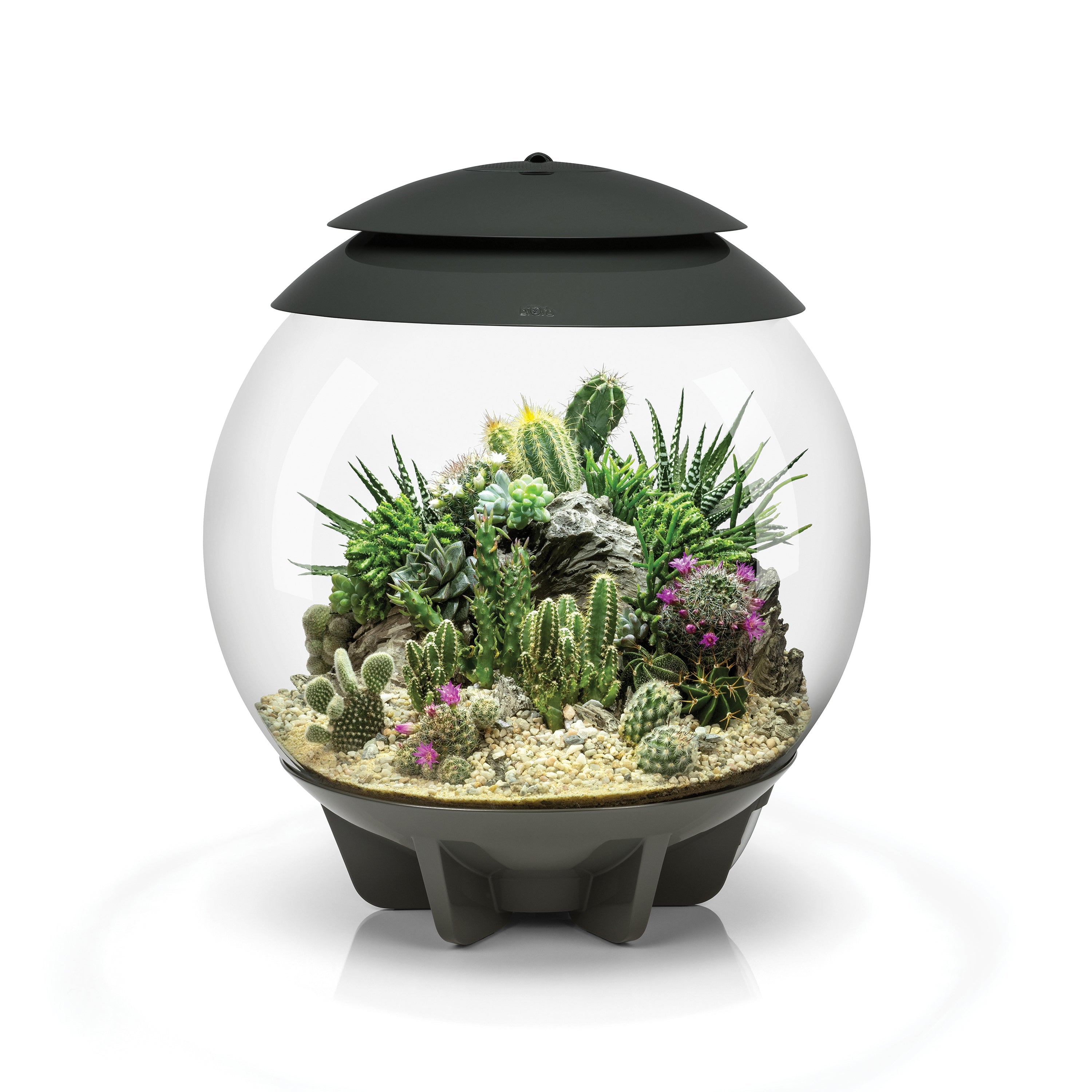 biOrb AIR 30 Terrarium， grey