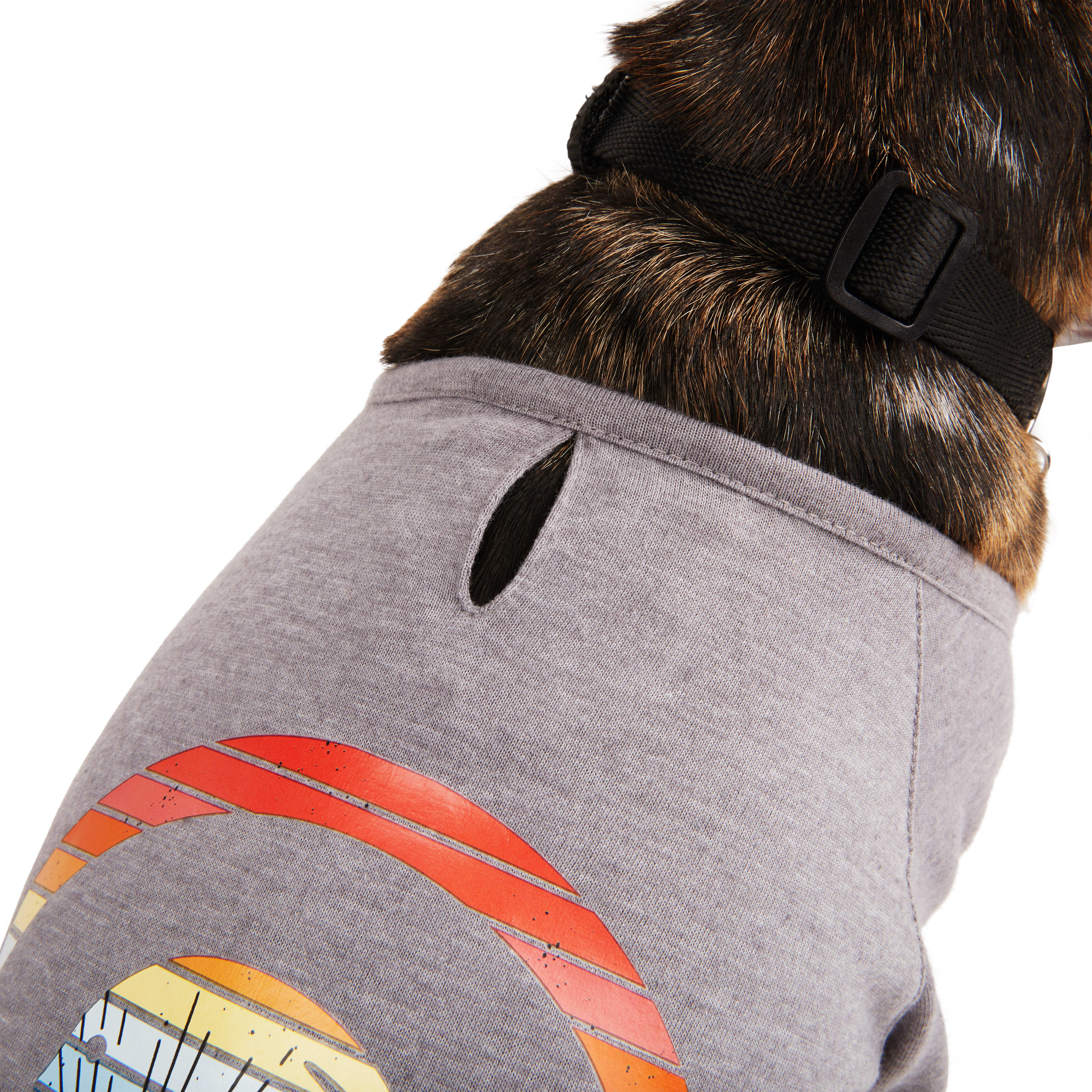 Backcountry x Petco The Sun Shield Dog T-Shirt， X-Small