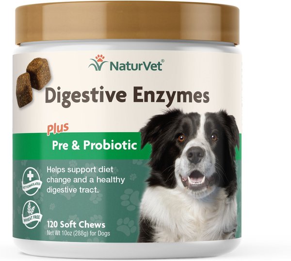 NaturVet Digestive Enzymes Plus Probiotic Soft Chews Digestive Supplement for Dogs