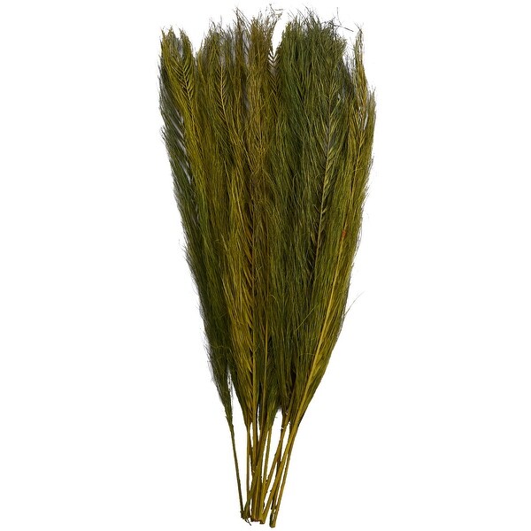 Green Dried Plant Leaves Home Decor Natural Foliage with Feather Inspired Stems