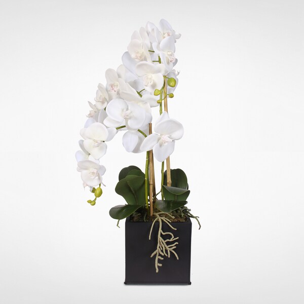 Real Touch Phalaenopsis Silk Orchids in a Metal Planter