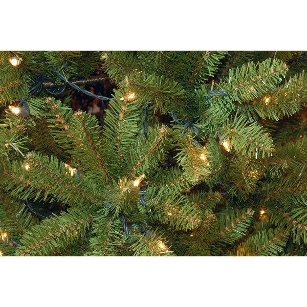 National Tree Company 3 ft. Kingswood Fir Pencil Tree with Clear Lights