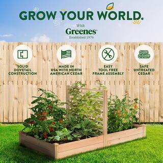 Greenes Fence 4 ft. x 8 ft. X 11 in. Premium Cedar Raised Garden Bed with Trellis RC489612PTRE