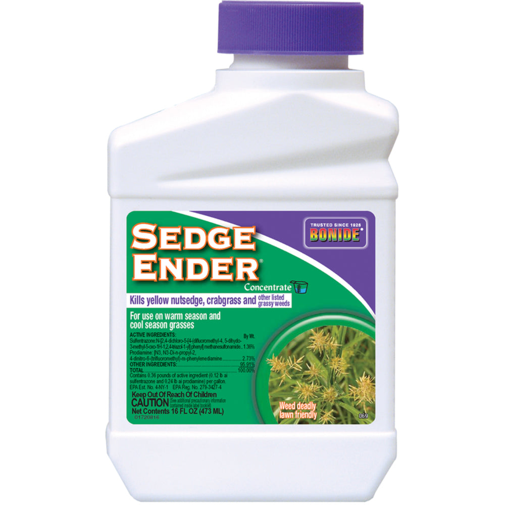 SEDGE ENDER CONC 16OZ