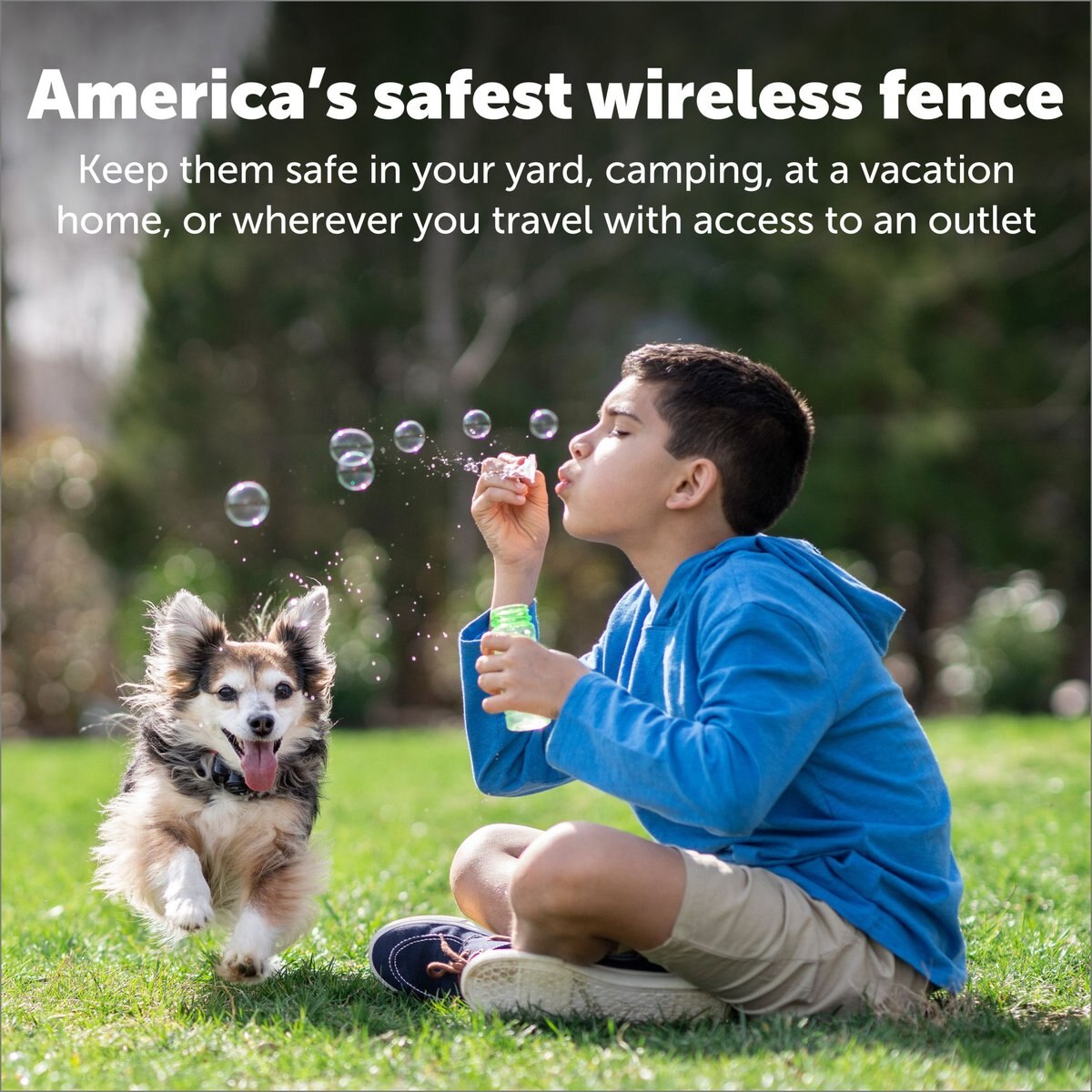 PetSafe Wireless Containment System