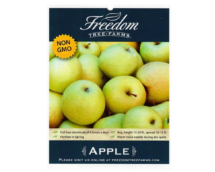 Freedom Tree Farms Golden Treat Apple Tree in 5 Gallon Bucket