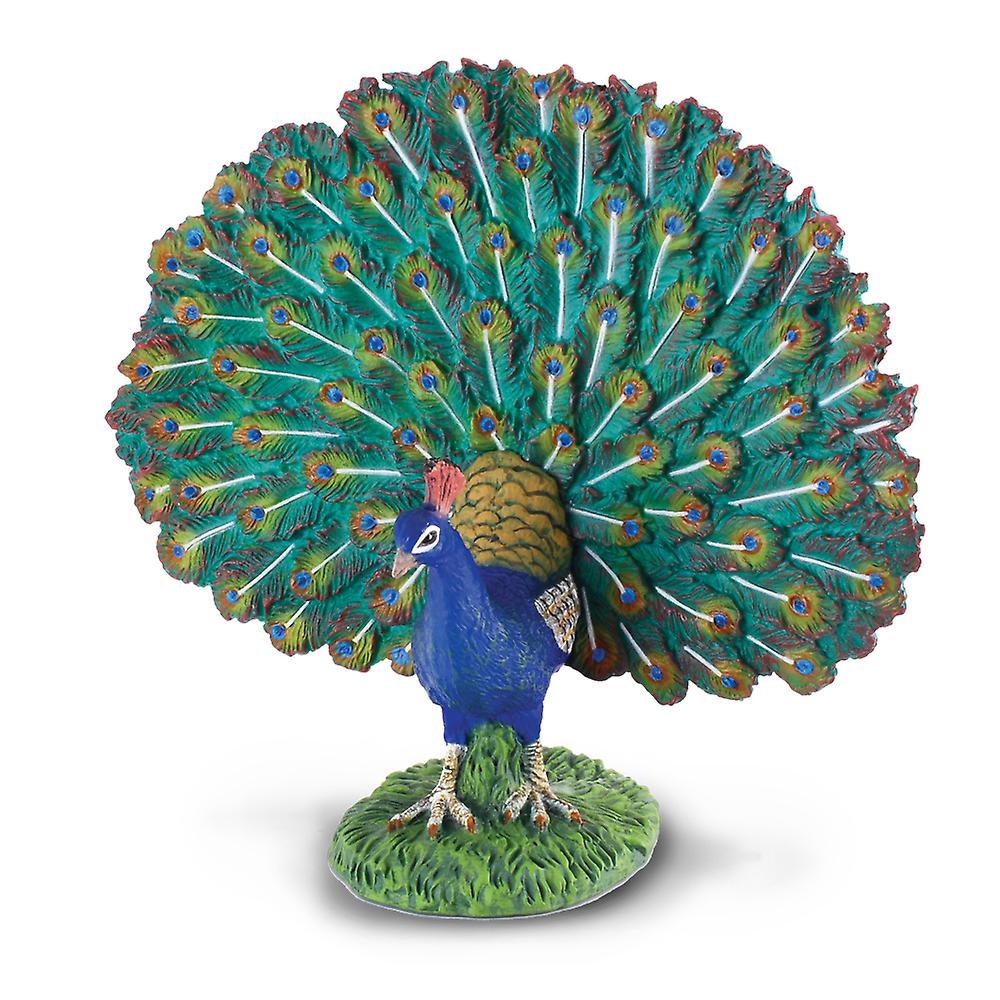 CollectA Peacock