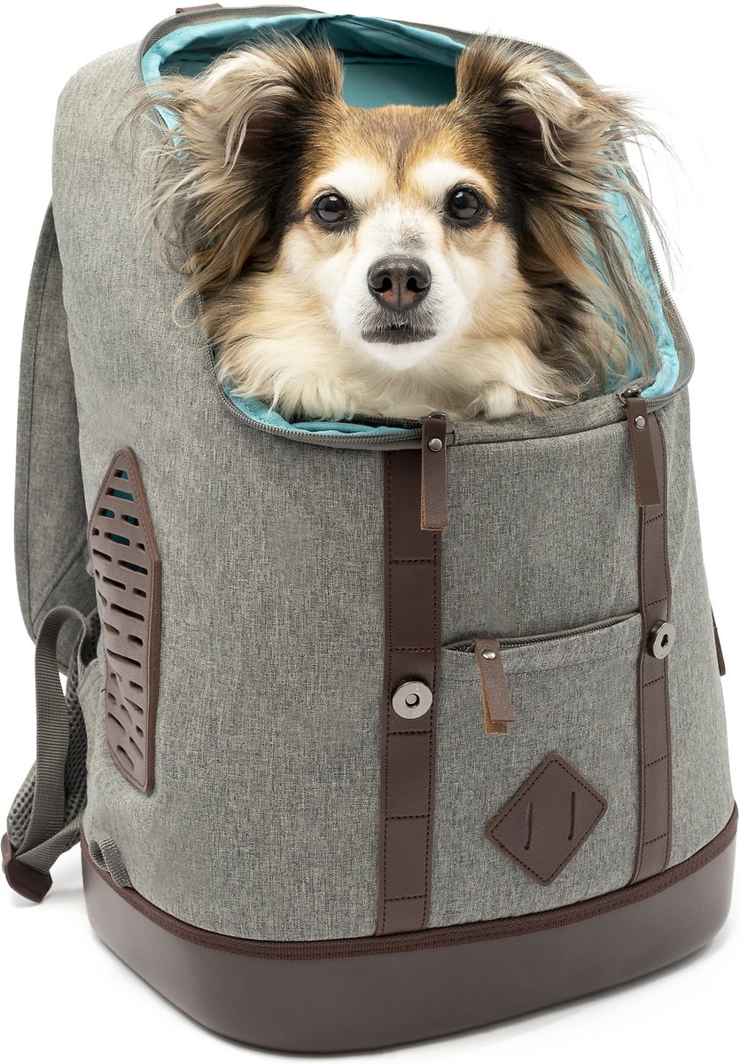 Kurgo Dog Carrier Backpack for Small Pets - Dogs and Cats | Cat | Hiking or Travel | Waterproof Bottom | K9 Ruck Sack (Heather Charcoal Grey)