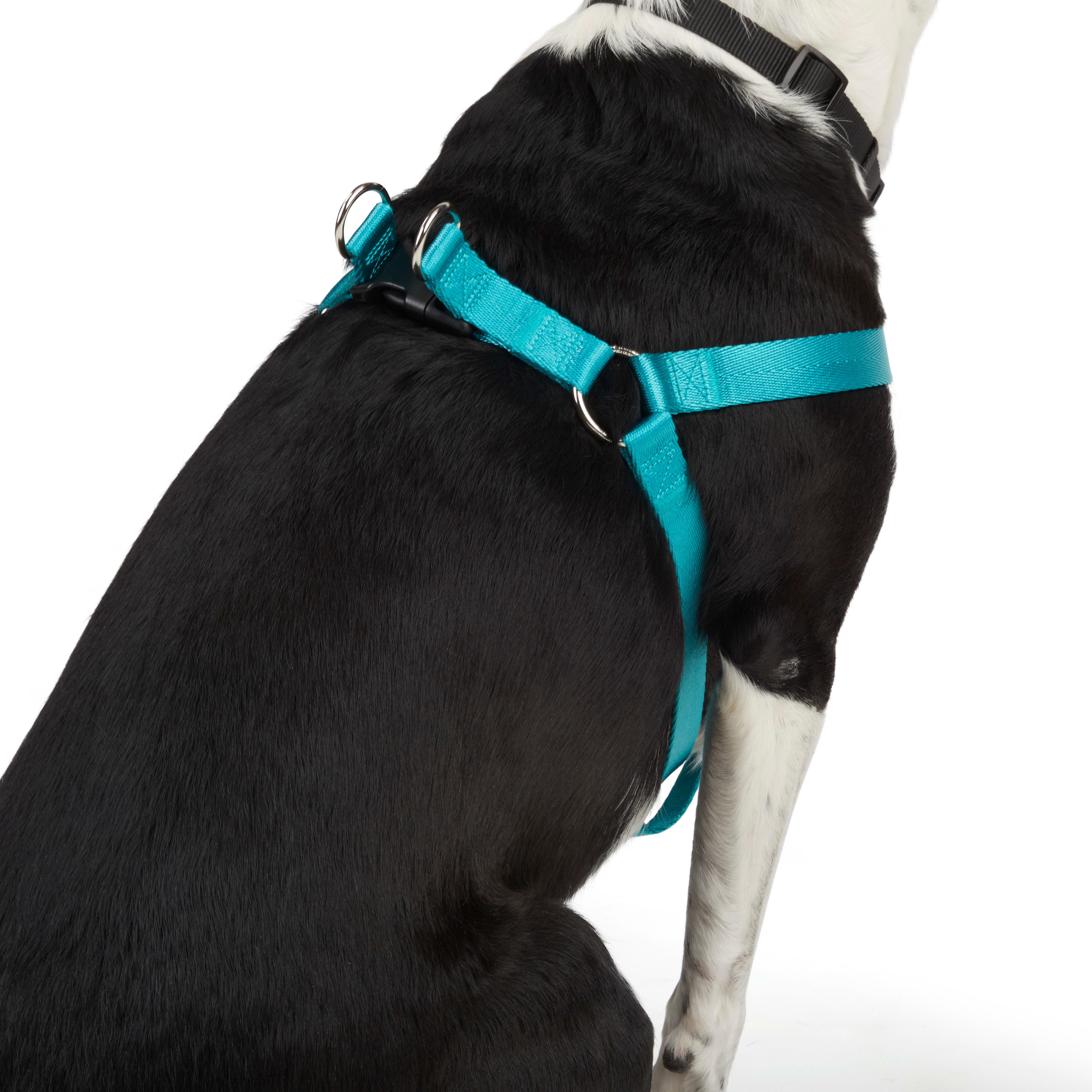 YOULY The Classic Turquoise Webbed Nylon Dog Harness， Small