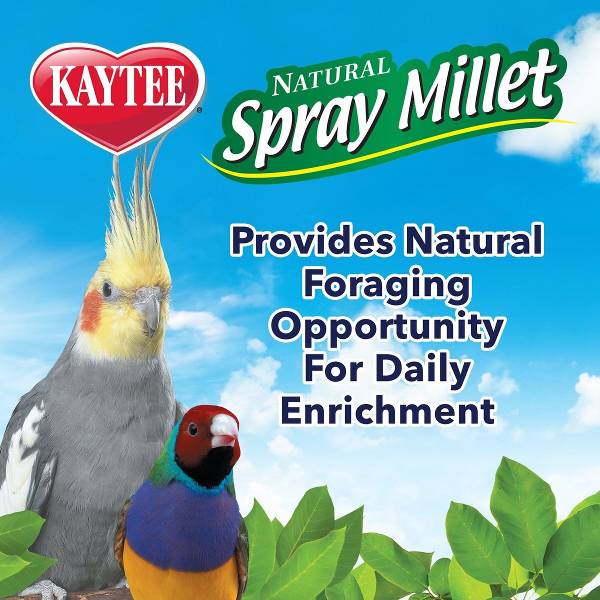 Kaytee Natural Spray Millet Bird Treats