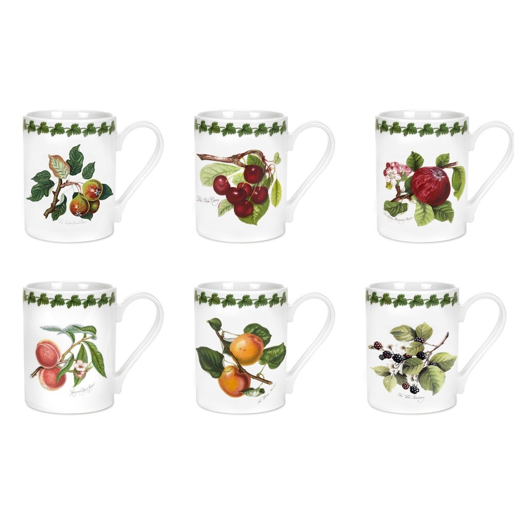 Portmeirion Pomona Tankard Mug Set of 6 Assorted Motifs