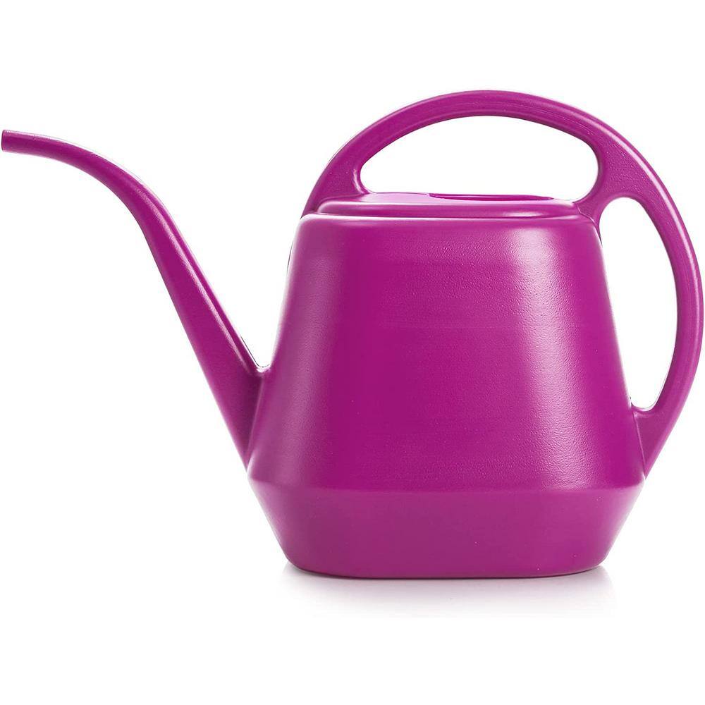 Cubilan 1 Gal. Purple Plastic Watering Can B08H59HSHZ