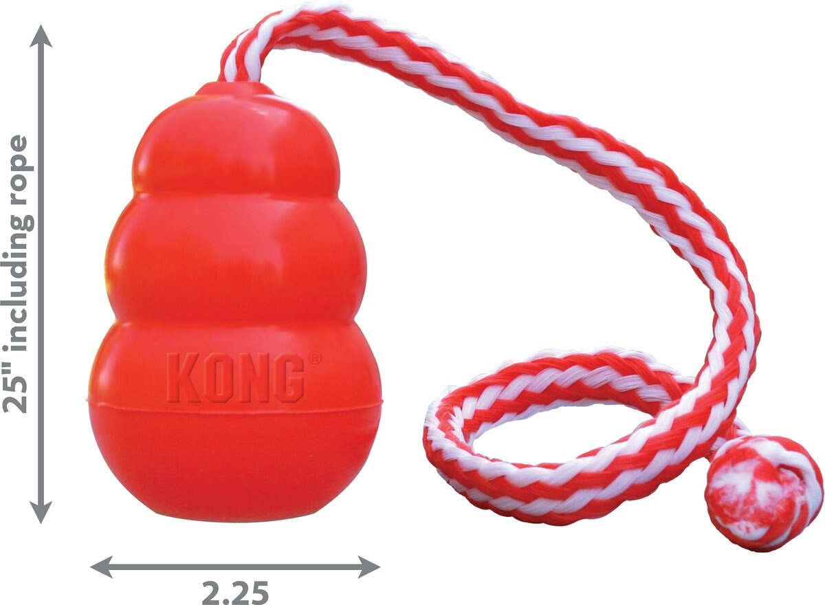 KONG Aqua Dog Toy