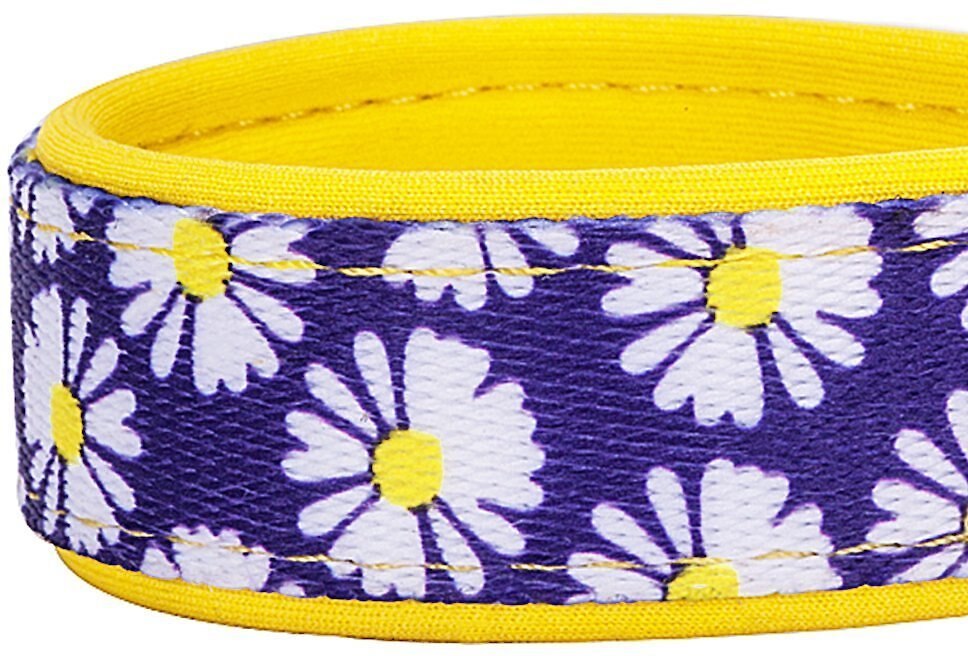 Blueberry Pet Floral Prints Polyester Dog Collar