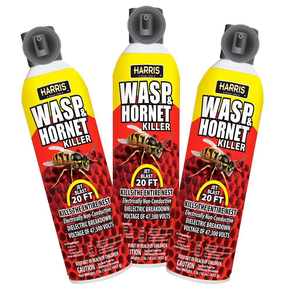 Harris 16 oz. Wasp and Hornet Killer (3-Pack) 3WH16