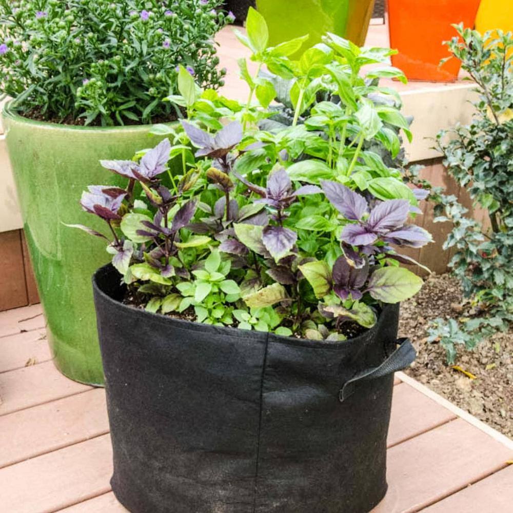 Gardens Alive! 1.40 lbs. Coir Soil Amendment Brick Made from Coconut Husks Brick That Rxpands to 8 Qt. of Soil 68484