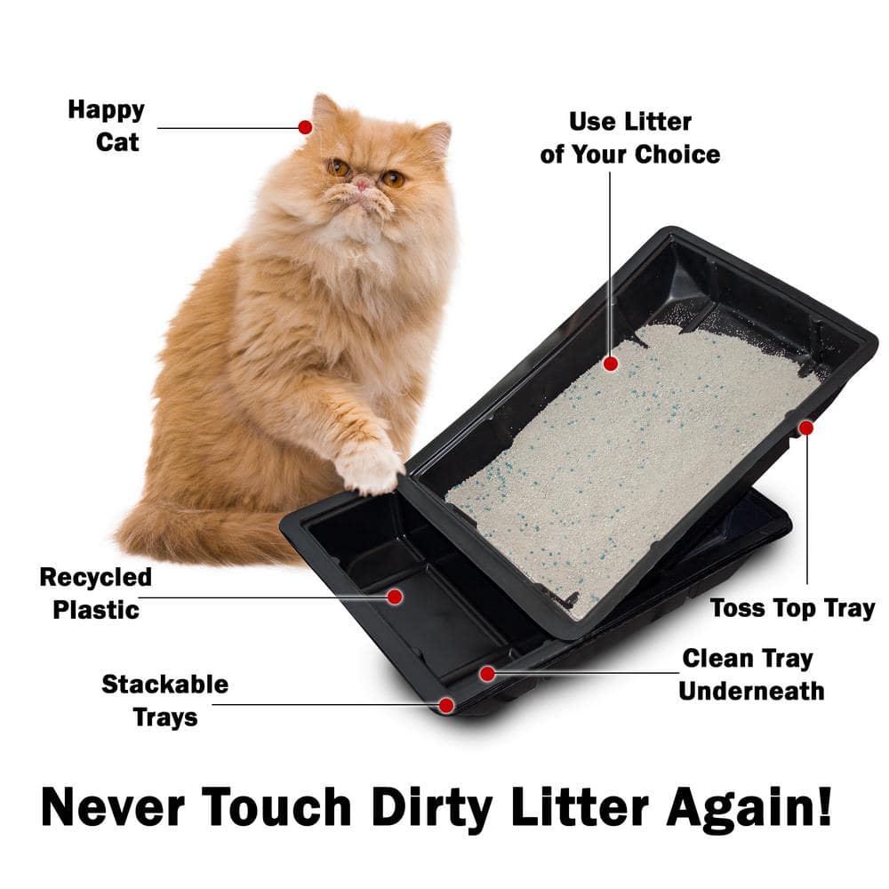 Argee Kitty Lounge Disposable Litter Trays (50-Pack) RG606/50