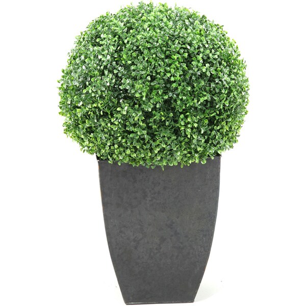 DandW Silks Boxwood Ball in Square Planter