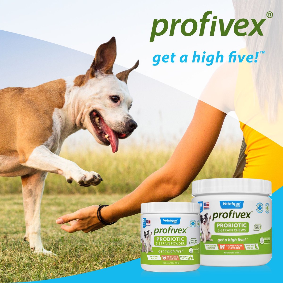 Vetnique Labs Profivex Probiotics 5-Strain Pork Flavored Powder Digestive Supplement for Dogs and Cats