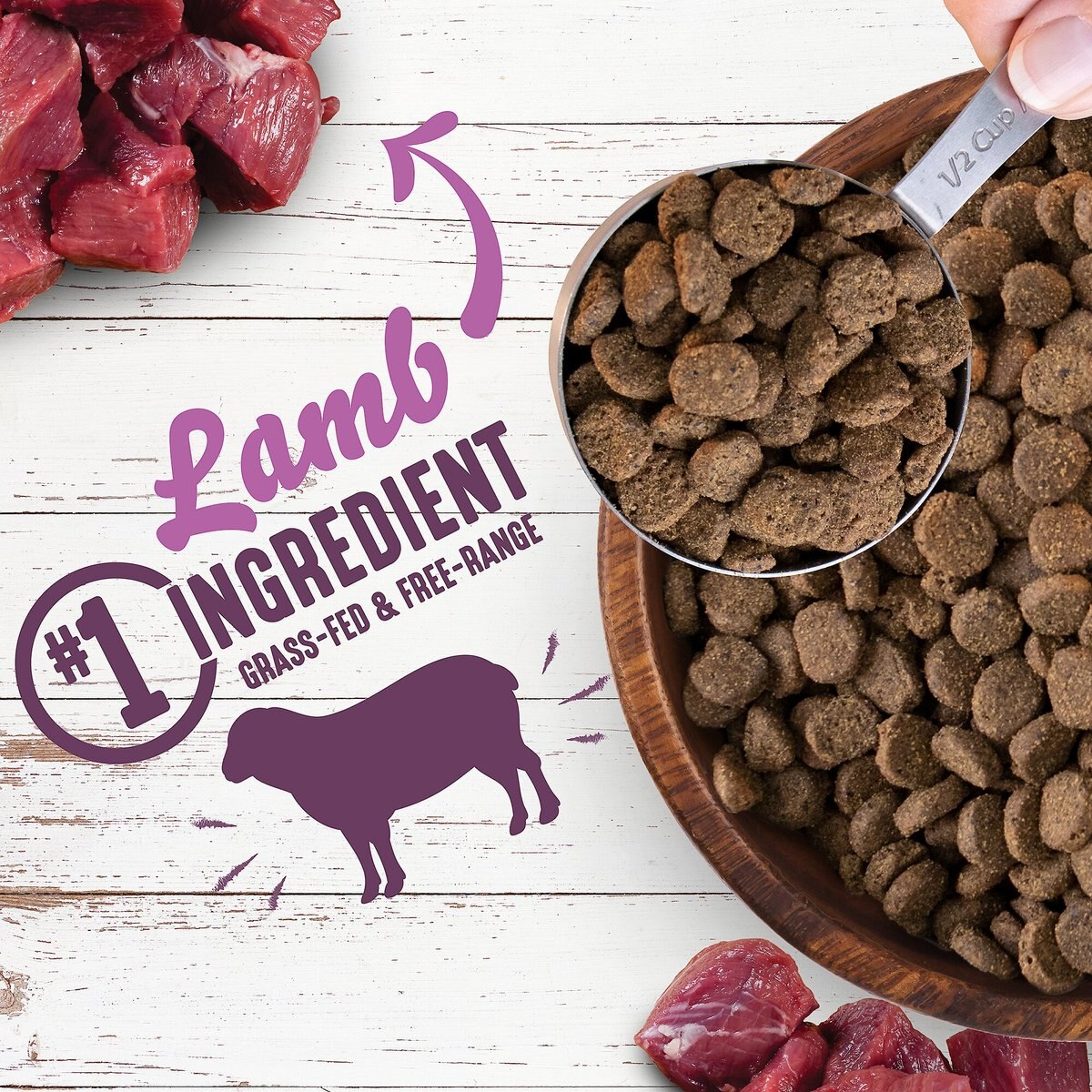 Earthborn Holistic Unrefined Roasted Lamb with Ancient Grains and Superfoods Dry Dog Food