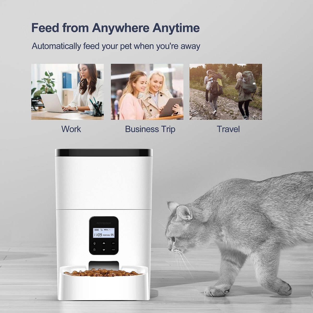 Petdiary Automatic Dog and Cat Feeder， White， Medium