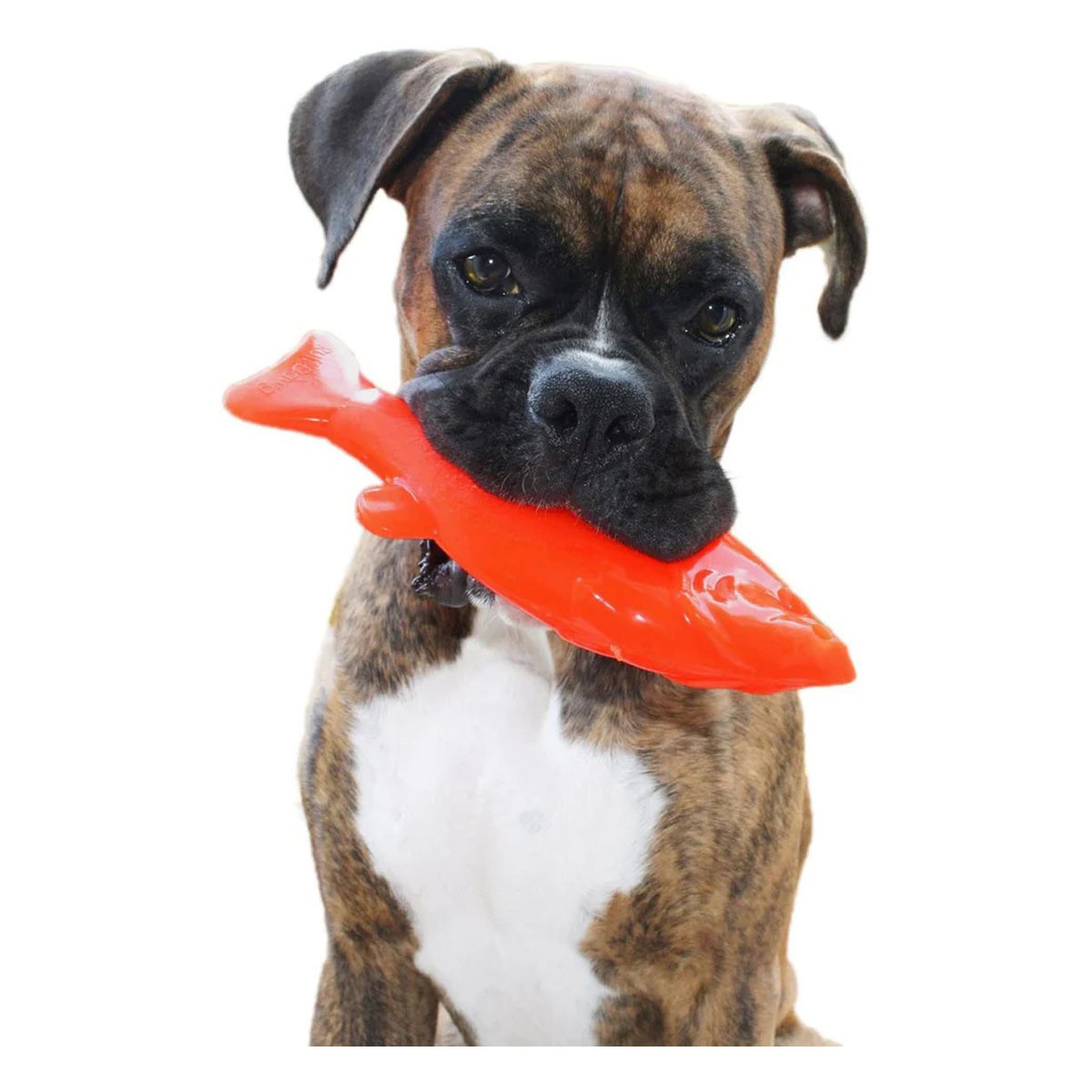 Ruff Dawg Flying Fish Dog Toy