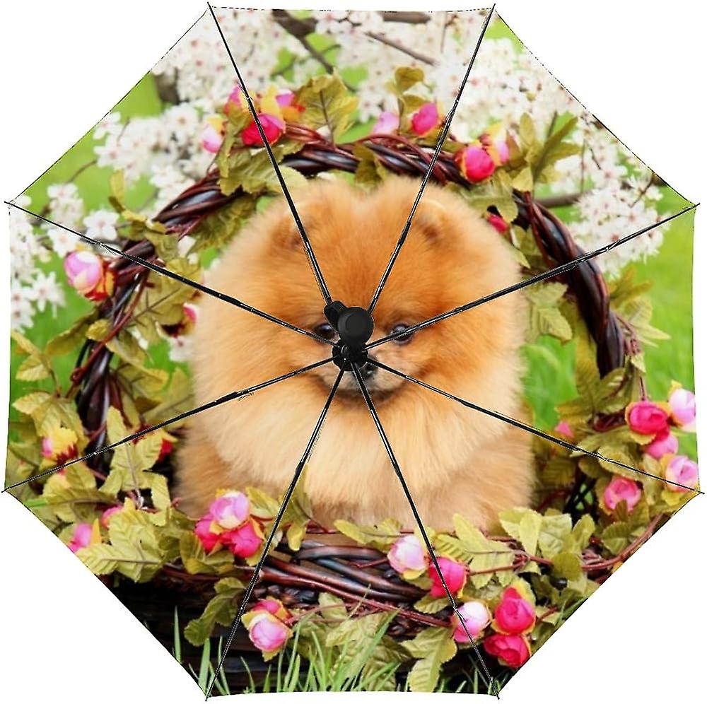 Colourlife Travel Umbrella Pomeranian Dog In A Basket Automatic Windproof Foldable Umbrella For Sun and Rain