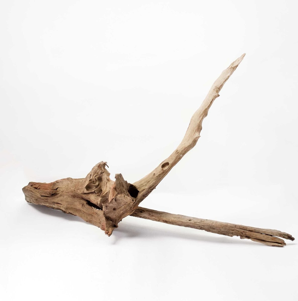 Galapagos Sinkable Driftwood Terrarium and Aquarium Accessory， Natural