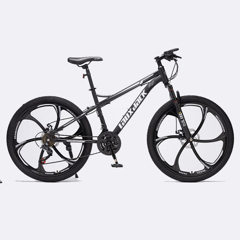 Factory customized OEM High quality Mountain bikes and Cycle with lock fork