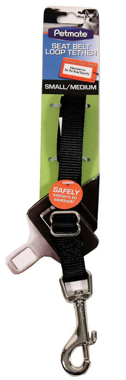 Petmate Seat Belt Loop Tether For Dogs