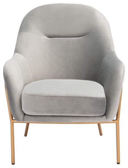 Liza Accent Chair  Gray Velvet   Midcentury   Armchairs And Accent Chairs   by Rustic Home Furniture Deco  Houzz