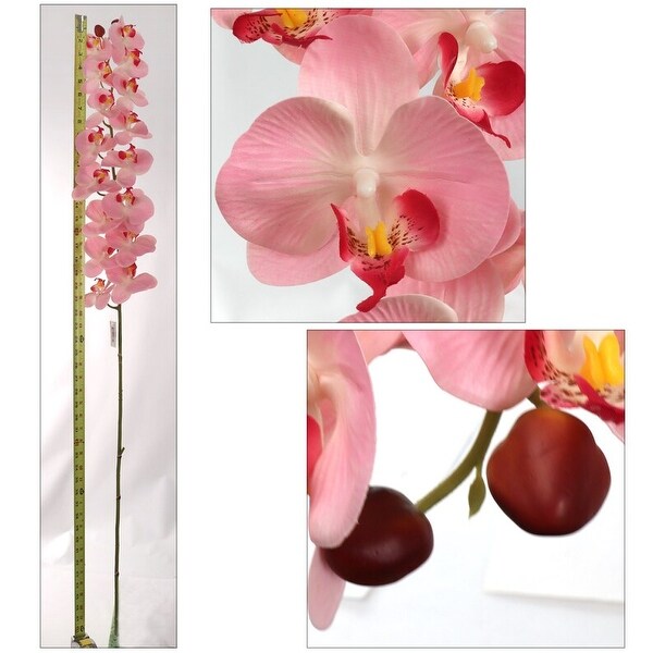 Phalaenopsis Orchid 48 Inch with 16 Real Touch Silk Blooms