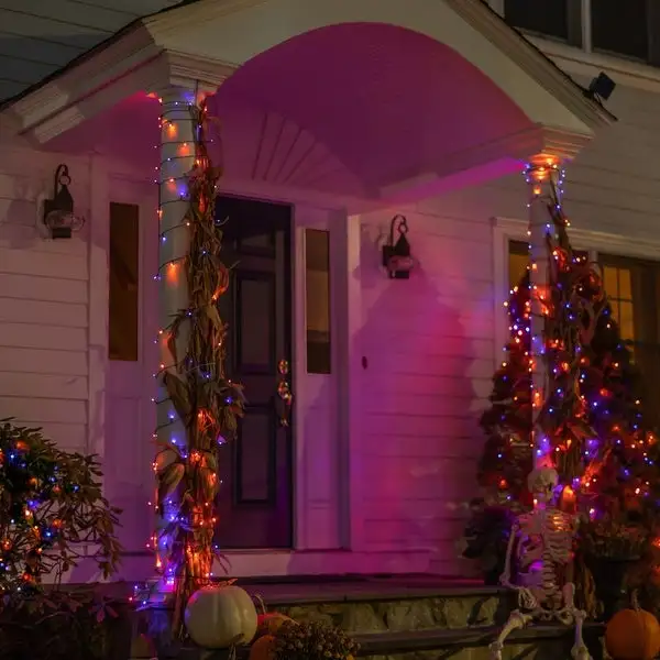 Solar-powered 125 Purple and Orange LED String Light