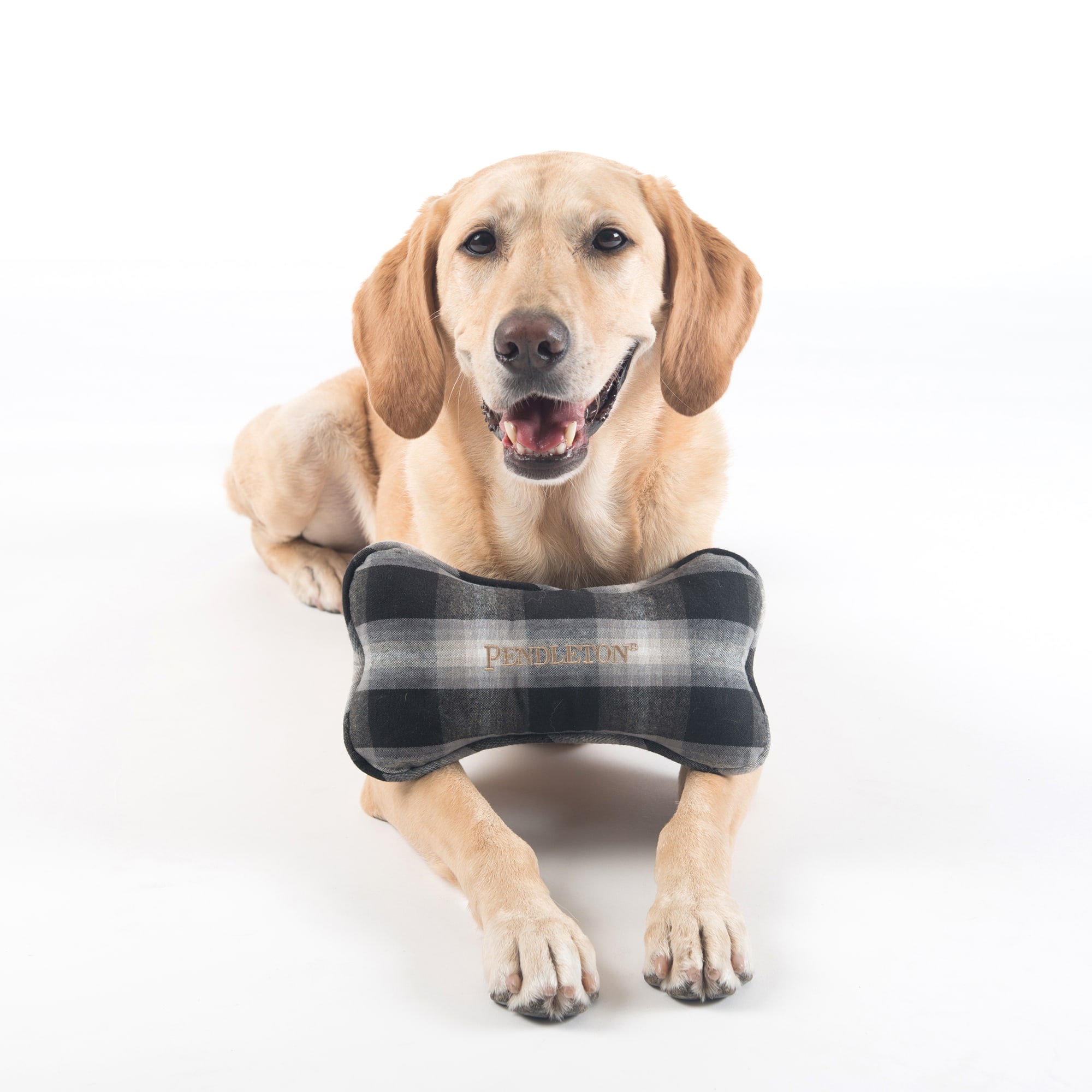 Pendleton Charcoal Ombre Plaid Bone Dog Toy， Small