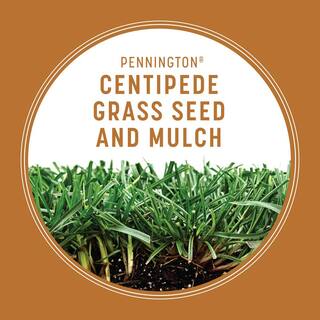 Pennington 5 lbs. Centipede Grass Seed and Mulch 100532365